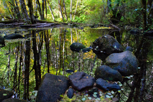 Reflection Pond - NatGeo