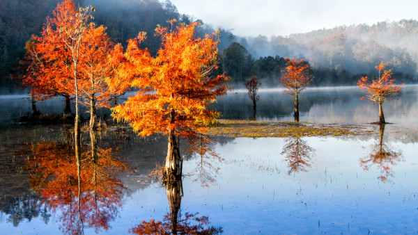 Dawn Mist on the Ocoee